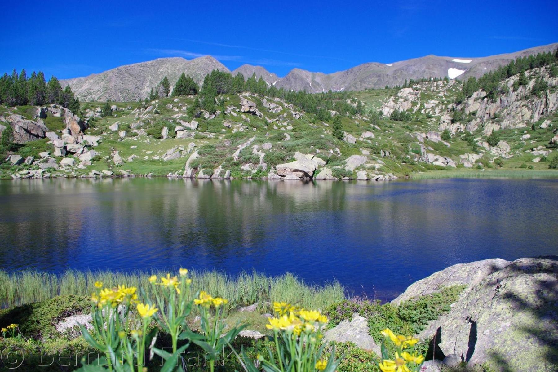 Studio Ecureuil 2 Pers Au Coeur De La Montagne La Llagonne ภายนอก รูปภาพ